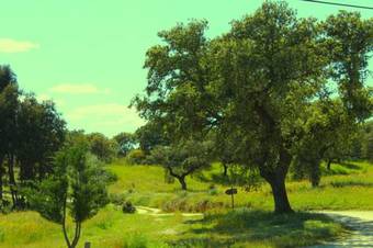 Agroturismo Monte Da Fonte Santa De S�o Lu�s