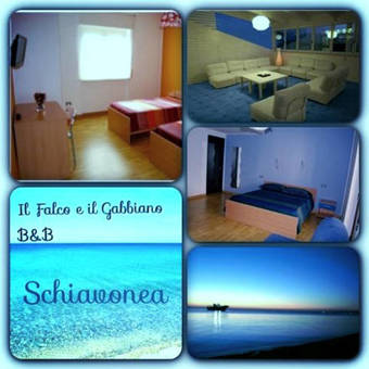 Il Falco E Il Gabbiano B&B