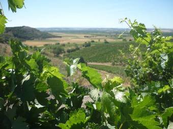 Agroturismo La Cantamora