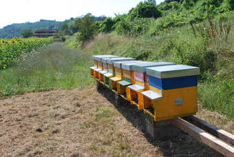 Agroturismo A Casa Del Tosi