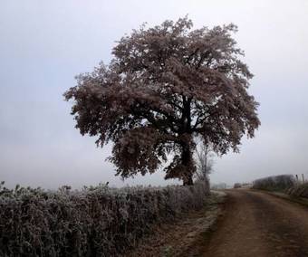 Gite L'art D'une Pause