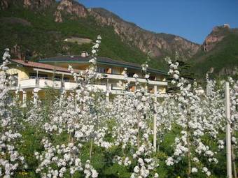 Hotel Greifenstein