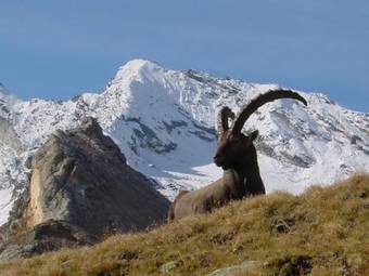 Hotel H�tel De La Vanoise
