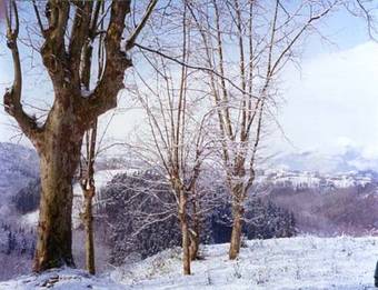 Agroturismo Pardiola Baserria
