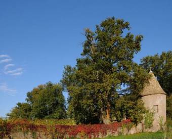 Bed & Breakfast L'h�te Antique