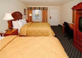 Motel Comfort Inn Near Ellenton Outlet Mall
