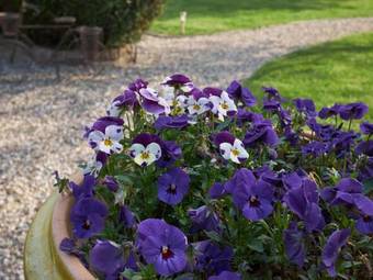 Hotel Les Pr�s D'ondine