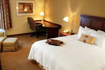 Hotel Hampton Inn Sumter