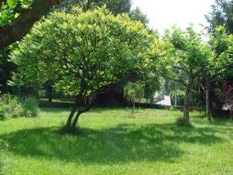 Hotel H�tel Restaurant Le Panorama