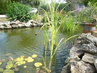 Bed & Breakfast Chez Marie
