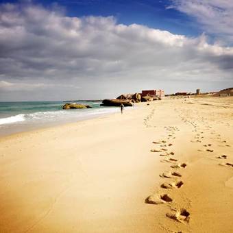 Bed & Breakfast Wood'n Sea Surf Lodge - Auberge De Jeunesse