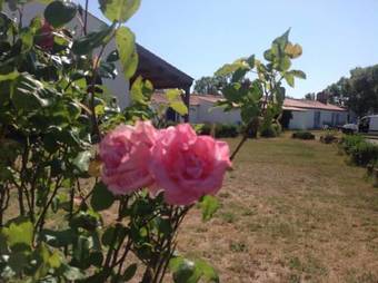 Bed & Breakfast Ferme Auberge L'ile Sauvage