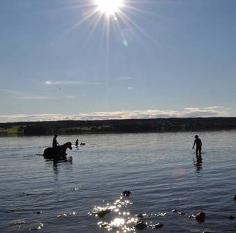 S�rbyg�rden Bed & Breakfast