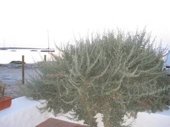 Casita Del Puerto Formentera Passport