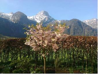 Apartamento Haus Fratnik