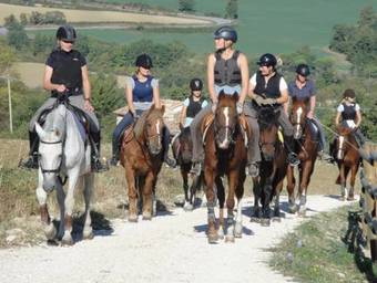 Agroturismo Agriturismo Alla Vecchia Quercia