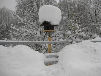 Apartamento Haus Anastasia