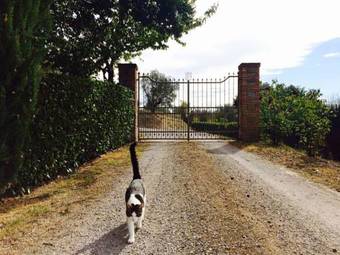 Apartamento Agriturismo La Bicocca - Apt L'olivo