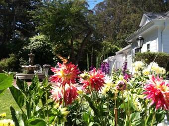 Posada Monarch Cove Inn