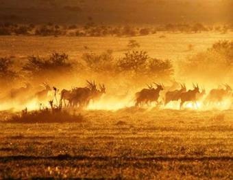 Samara Private Game Reserve Karoo Lodge