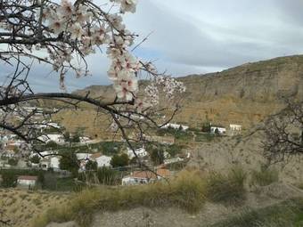 Agroturismo Cuevas El Torriblanco