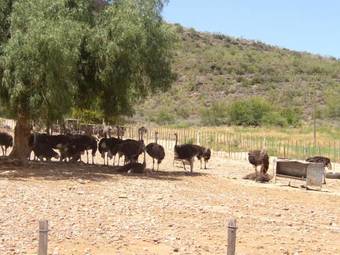 Bed & Breakfast Montana Guest Farm