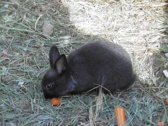 Apartamento Casa Vancanze C� Prosciutto