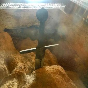 Agroturismo La Fattoria Montalcinello