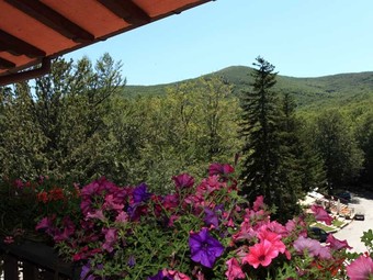 Hotel Albergo Le Macinaie