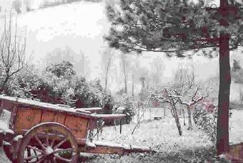 Apartamento Caselunghe Country House