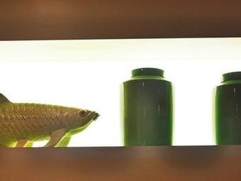 Hotel Ibis Styles Luxembourg Centre Gare