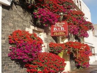 Hostal Watson Lodge Guest House