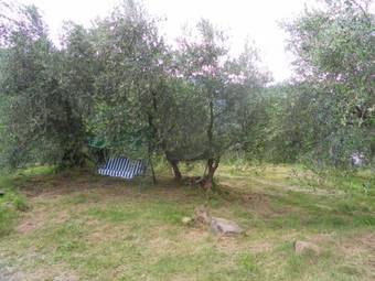 Casa Delle Olive