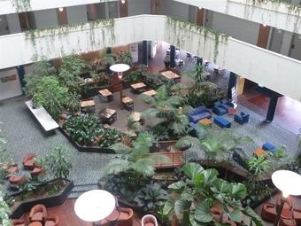 Hotel Novotel Darwin Atrium