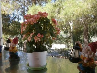 Apartamento Kefallonia Bay Resort