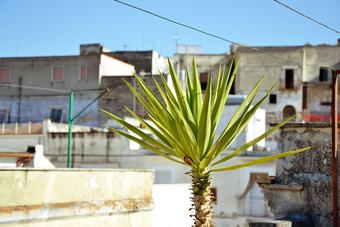 Apartamento Casa Antica Canosa