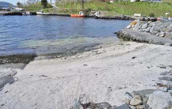 Three-bedroom Apartment With Sea View In Fister