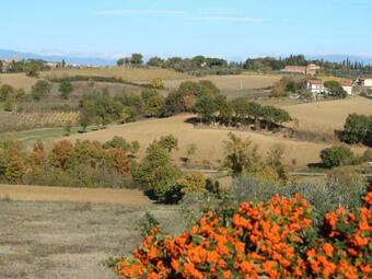 Apartamento Modern Holiday Home In Foiano Della Chiana With Pool