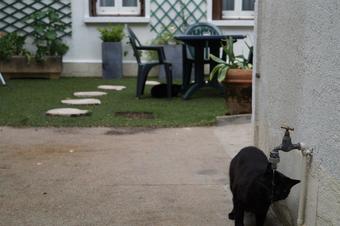 Hotel H�tel De Verdun