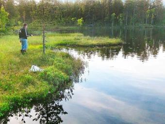 One-bedroom Holiday Home In Torsby 2