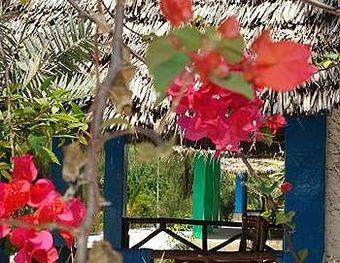 Hotel Twisted Palms Lodge & Restaurant