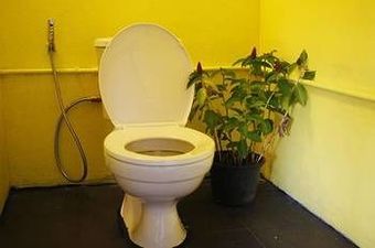 Albergue Dorm Des Fleurs