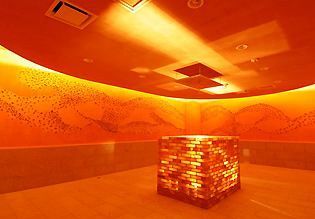 Hotel Route-inn Grantia Akita Spa Resort