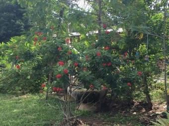 Posada Subsavet Village