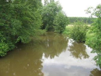 Bed & Breakfast Le Petitepinay