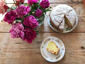 Agroturismo Agriturismo Tra Le Vigne