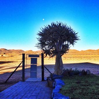 Bed & Breakfast Apollis Cottage