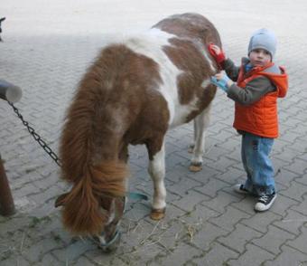 Agroturismo Bauernhof Ni�l