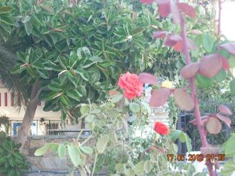 Apartamento Plaza Studios