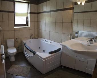 Hostal Pensiunea Rau Sadului